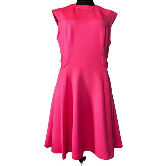 Ted Baker Dresses & Skirts - Ted Baker Vibrant Pink Midi Dress